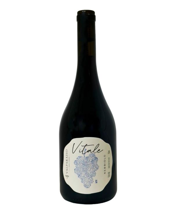vivalo njs ビバロ　完成車　550 Valparaiso Vitale Nebbiolo - Claret
