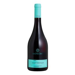 Capoani Gamay Nouveau
