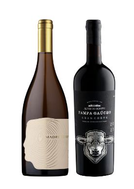 Conheça os vinhos deste mês
