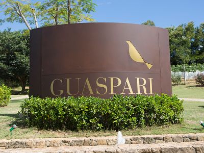 Guaspari
